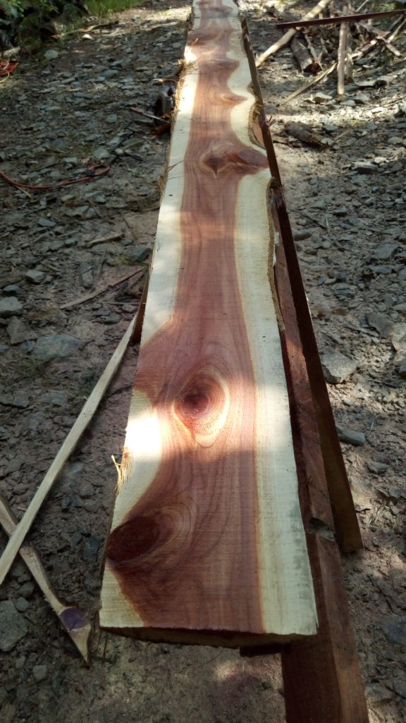 This picture shows a slab on the saw horses ready to be milled.
